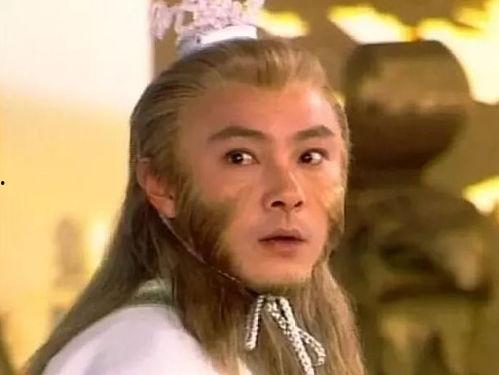 温芊芊温情吃瓜,揭秘娱乐圈温馨幕后故事