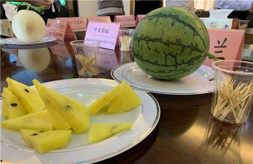 苏朱吃瓜,揭秘娱乐圈背后的那些事儿