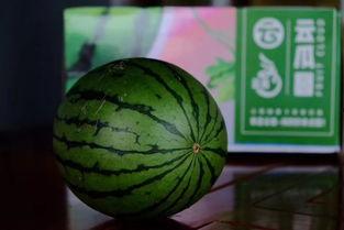 如何放弃吃瓜,如何从围观者转变为独立思考者