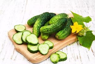 吃瓜群众的青蛙,趣味横生的生态使者