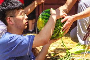 文工团吃瓜,揭秘娱乐圈背后的故事