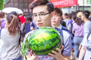 文工团吃瓜,揭秘娱乐圈背后的故事