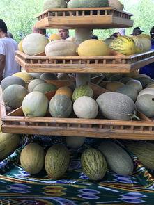 新疆的瓜在哪吃,品味甜蜜之旅