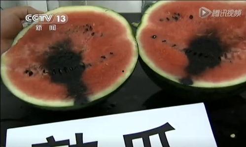 吃瓜搞笑视频为了吃瓜